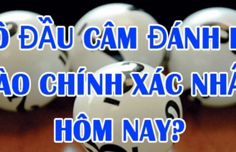 Lô đầu 9 câm đánh con gì hôm sau